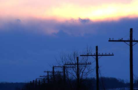 Wires in the evening