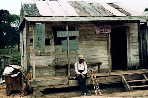 Fish supplies