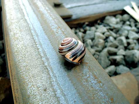 RailSnail